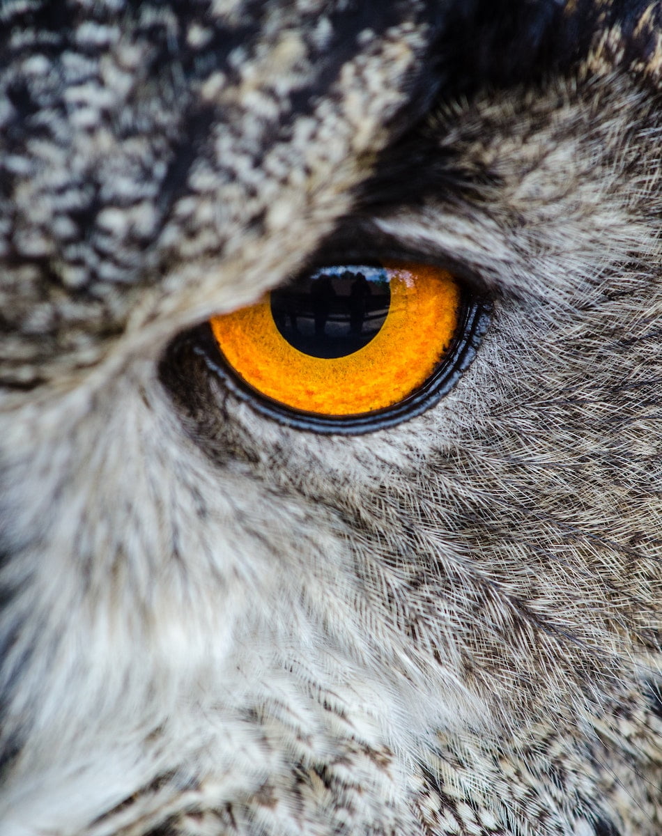 People Measures have expert consultants offering Psychometric Testing