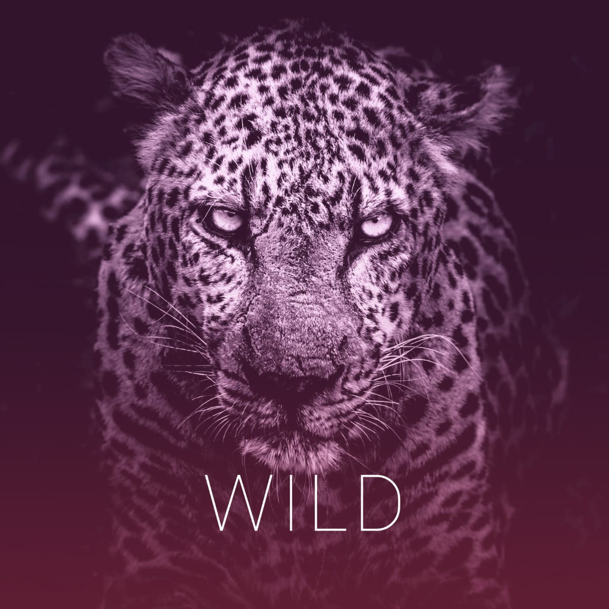 Women In Leadership Development (WILD) Program