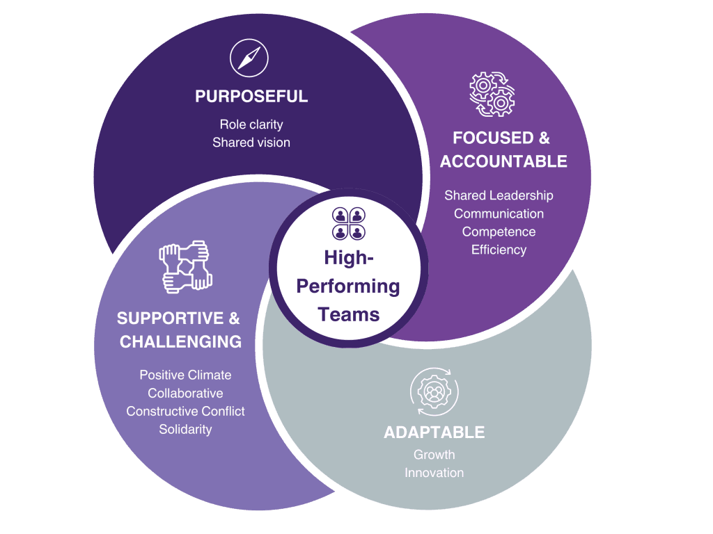 High Performing Teams Diagram from People Measures