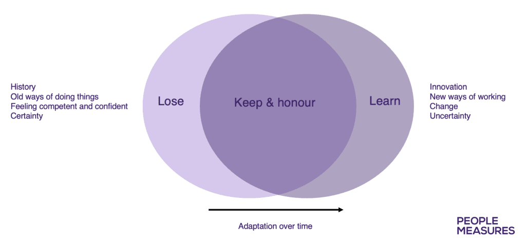 Organisational adaptation to AI Era
